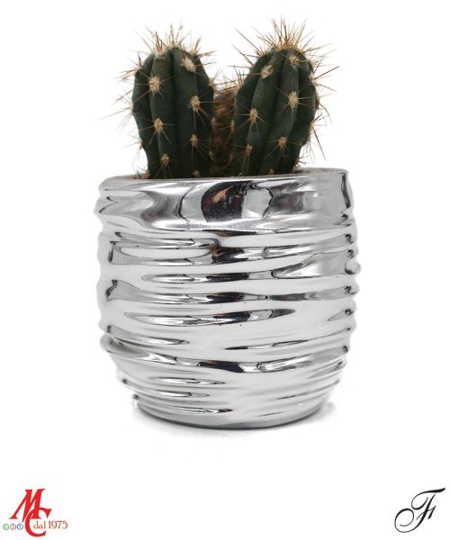 Bomboniera - Vasetto onde con Piantina