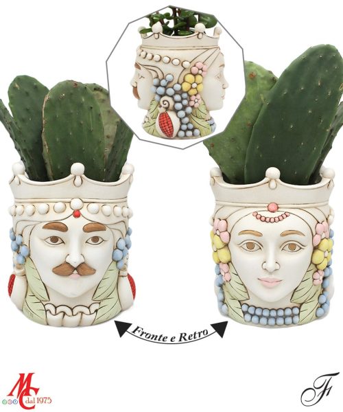 Testa di Moro - Bifacciale - Con pianta grassa