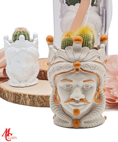 Bomboniera Vasetto Con Piantina Grassa Testa di Moro