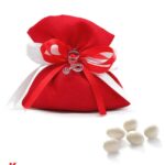 Bomboniera Laurea in Medicina o Infermieristica - Stetoscopio Piccolo Rosso