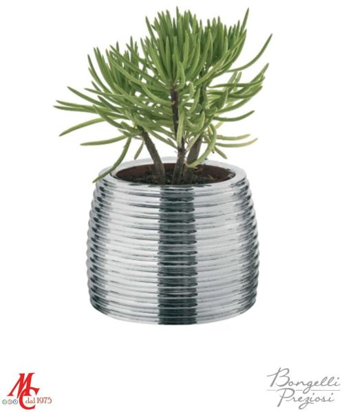 Bomboniera - Piantina con Vasetto Righe