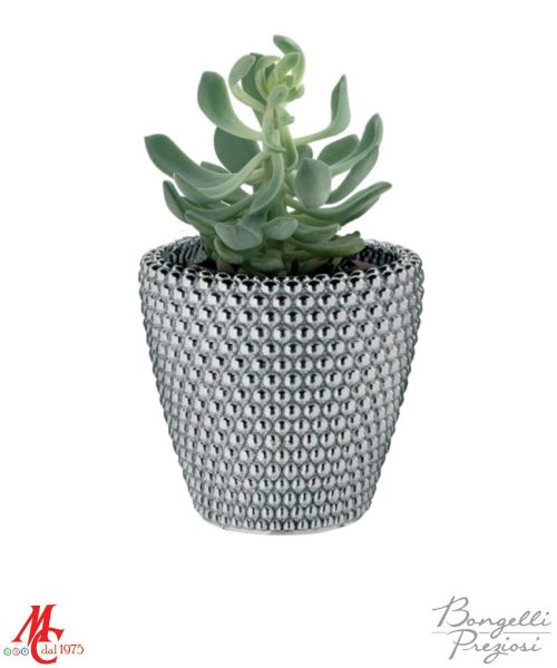 Bomboniera - Piantina con Vasetto Pallini