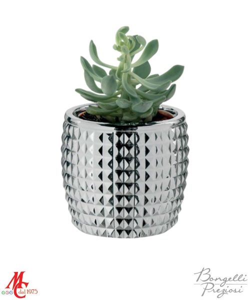 Bomboniera - Piantina con Vasetto Diamante