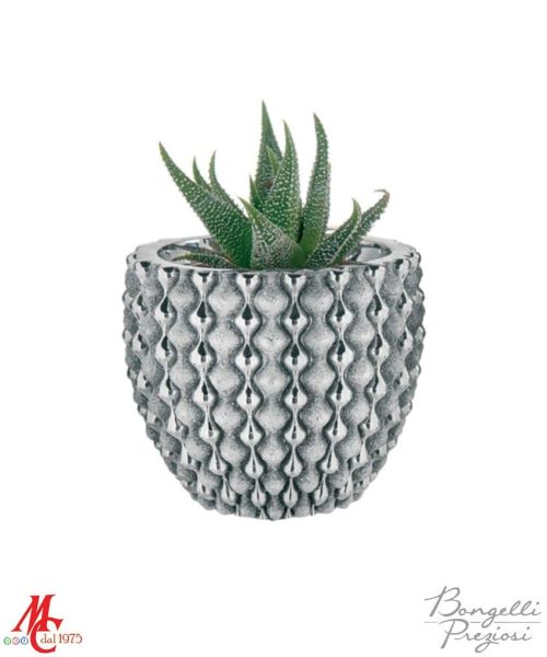 Bomboniera - Piantina con Vasetto Onde