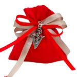 Bomboniere Laurea Veterinaria Ciondolo Caduceo con V in Argento