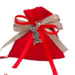 Bomboniera Laurea Biologia Ciondolo DNA in Argento