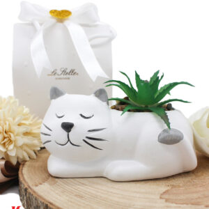 Bomboniera Vasetto Gattino con Piantina Finta – 2 Misure Assortite